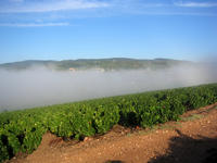 chambre hote carrayves marchampt piscine beaujeu beaujolais